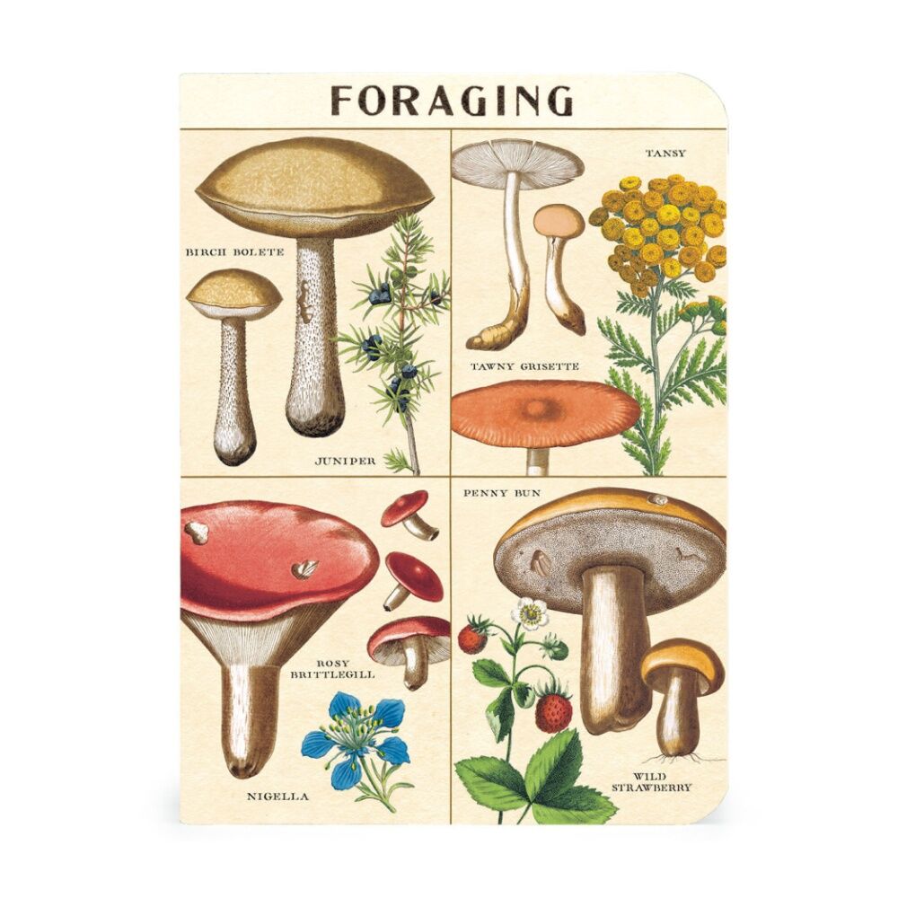3pc Cavallini Notebook Mini Foraging Botanical Fungi Illustrations 10x14cm