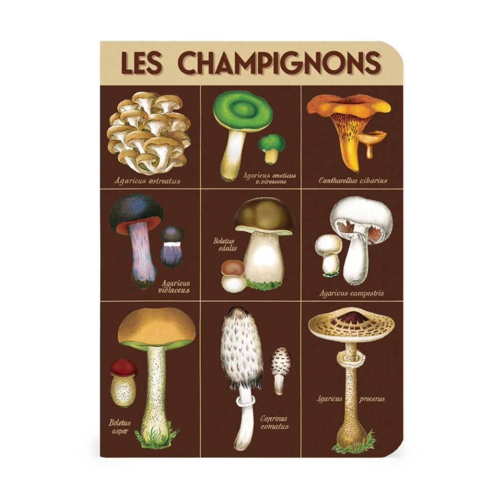 3pc Cavallini Notebook Mini Foraging Botanical Fungi Illustrations 10x14cm
