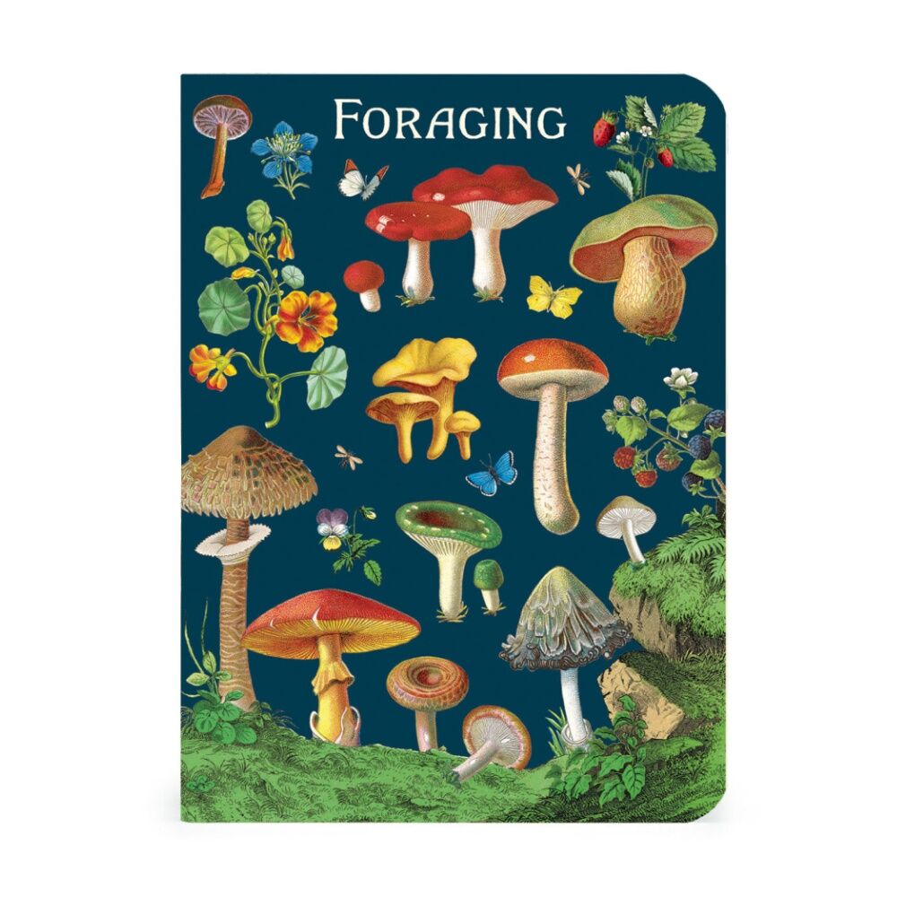 3pc Cavallini Notebook Mini Foraging Botanical Fungi Illustrations 10x14cm