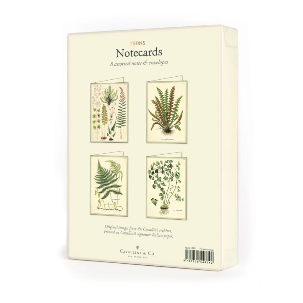 8pc Cavallini Boxed Notecards Fern Botanical Designs Cards Envelopes