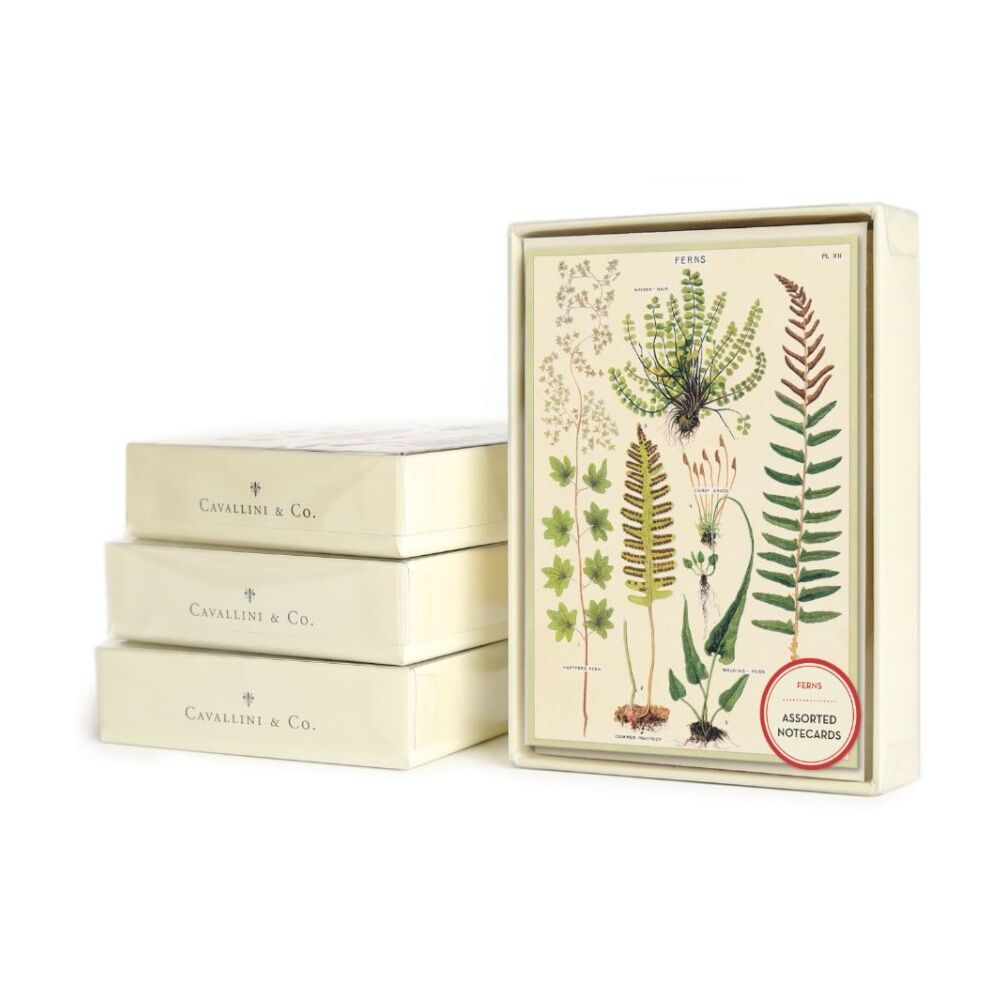 8pc Cavallini Boxed Notecards Fern Botanical Designs Cards Envelopes