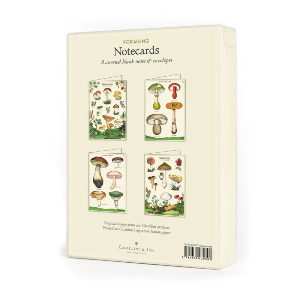 8pc Cavallini Boxed Notecards Foraging Nature Folded Cards Set Assorted
