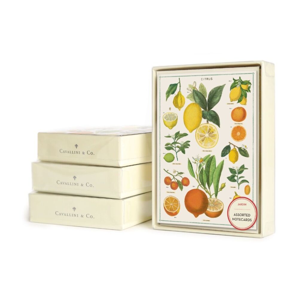 8pc Cavallini Boxed Notecards Jardin Envelopes Garden Theme Assorted