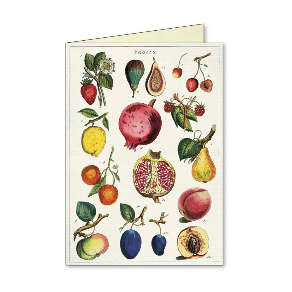 8pc Cavallini Boxed Notecards Jardin Envelopes Garden Theme Assorted