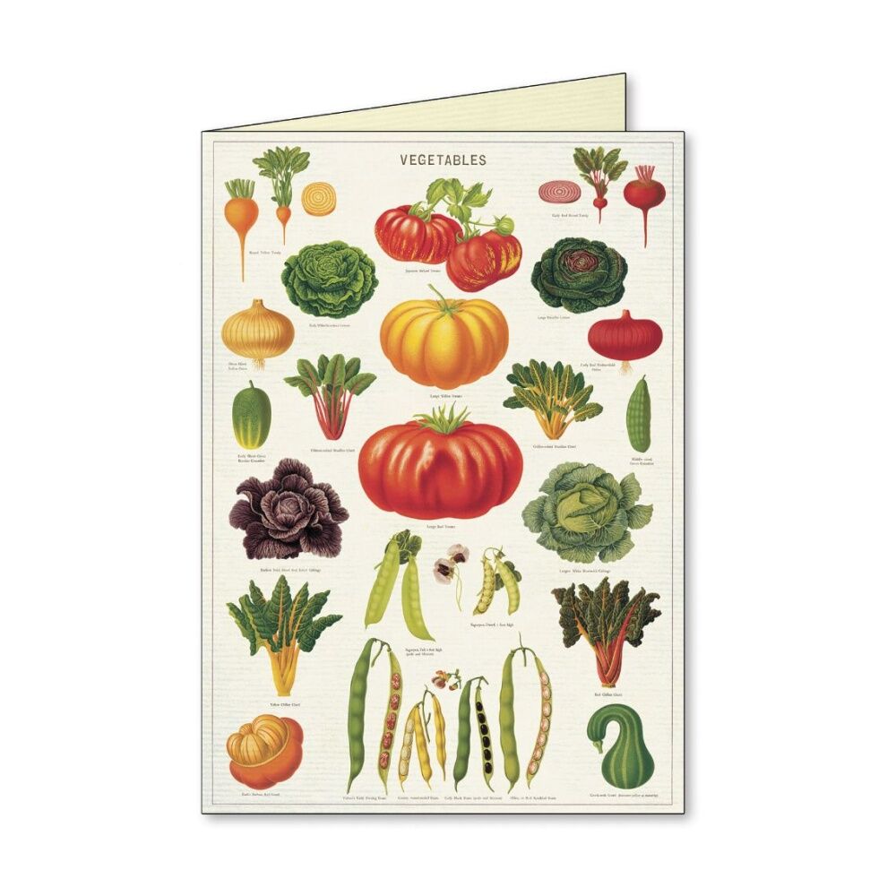 8pc Cavallini Boxed Notecards Jardin Envelopes Garden Theme Assorted