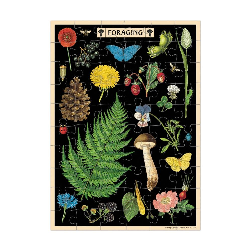Cavallini Greeting Card Design 60pc Puzzle Forage Vintage Botanical Artwork