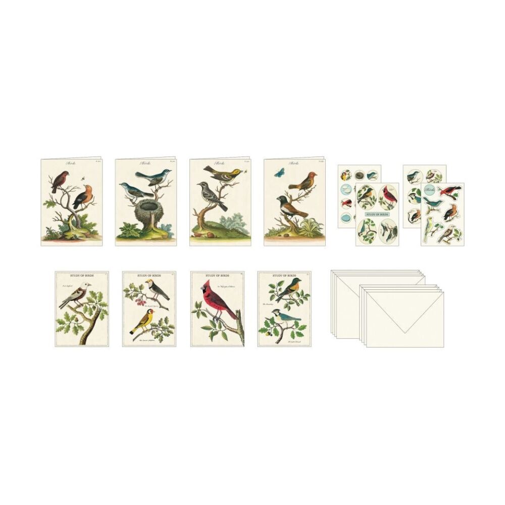20pc Cavallini Stationery Set Birds Vintage Cards Notes Stickers