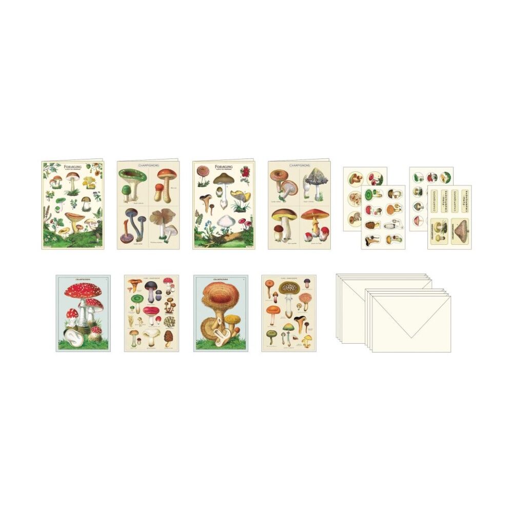 Cavallini Stationery Set Mushrooms Vintage Cards Notes Stickers