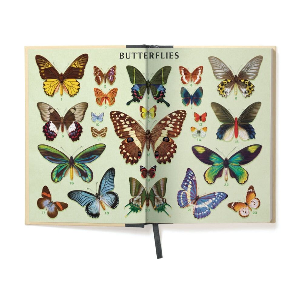 Cavallini Window Journal Hardcover Lined Page Notebook Butterflies