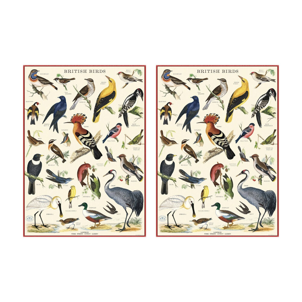 2PK Cavallini Poster Gift Wrap Birds In A Tree Vintage Botanical Design 50x70cm