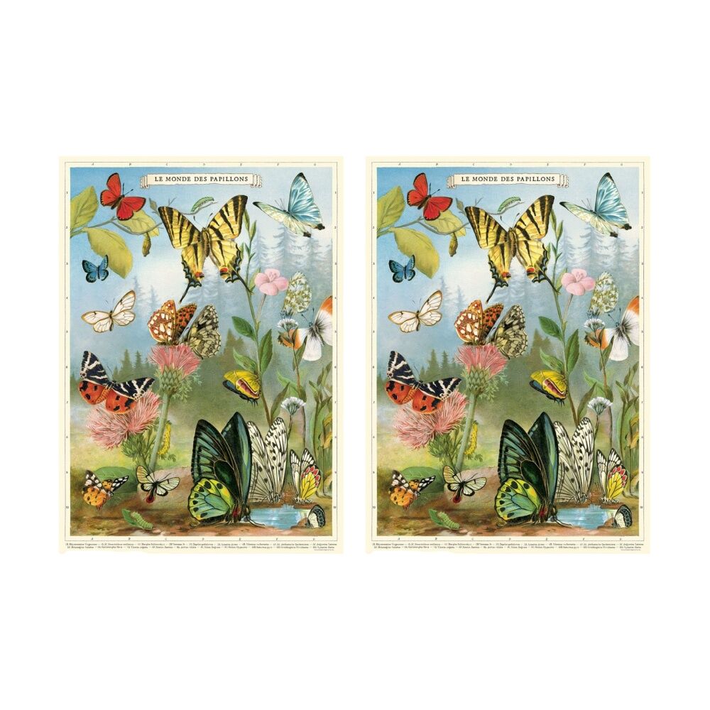 2PK Cavallini Poster Gift Wrap Butterflies Vintage Archival Paper Art 50x70cm