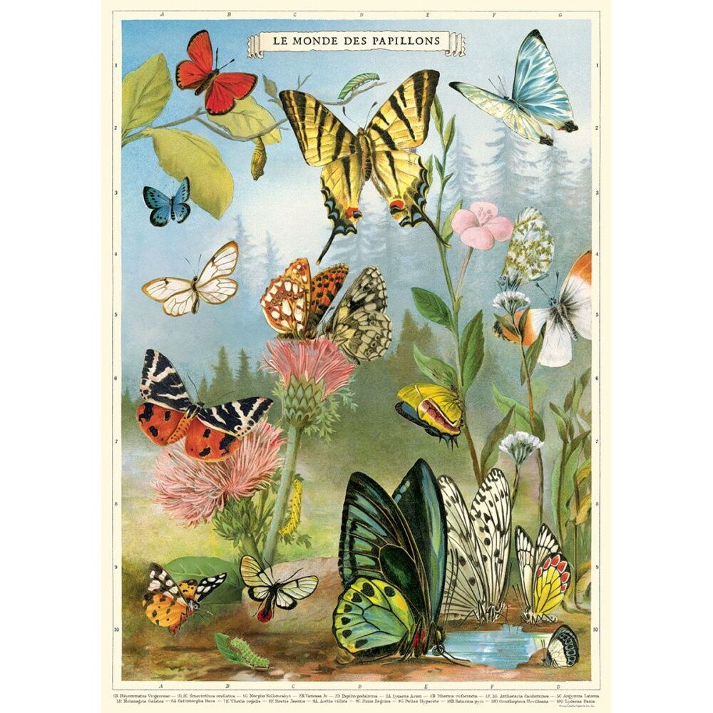 2PK Cavallini Poster Gift Wrap Butterflies Vintage Archival Paper Art 50x70cm