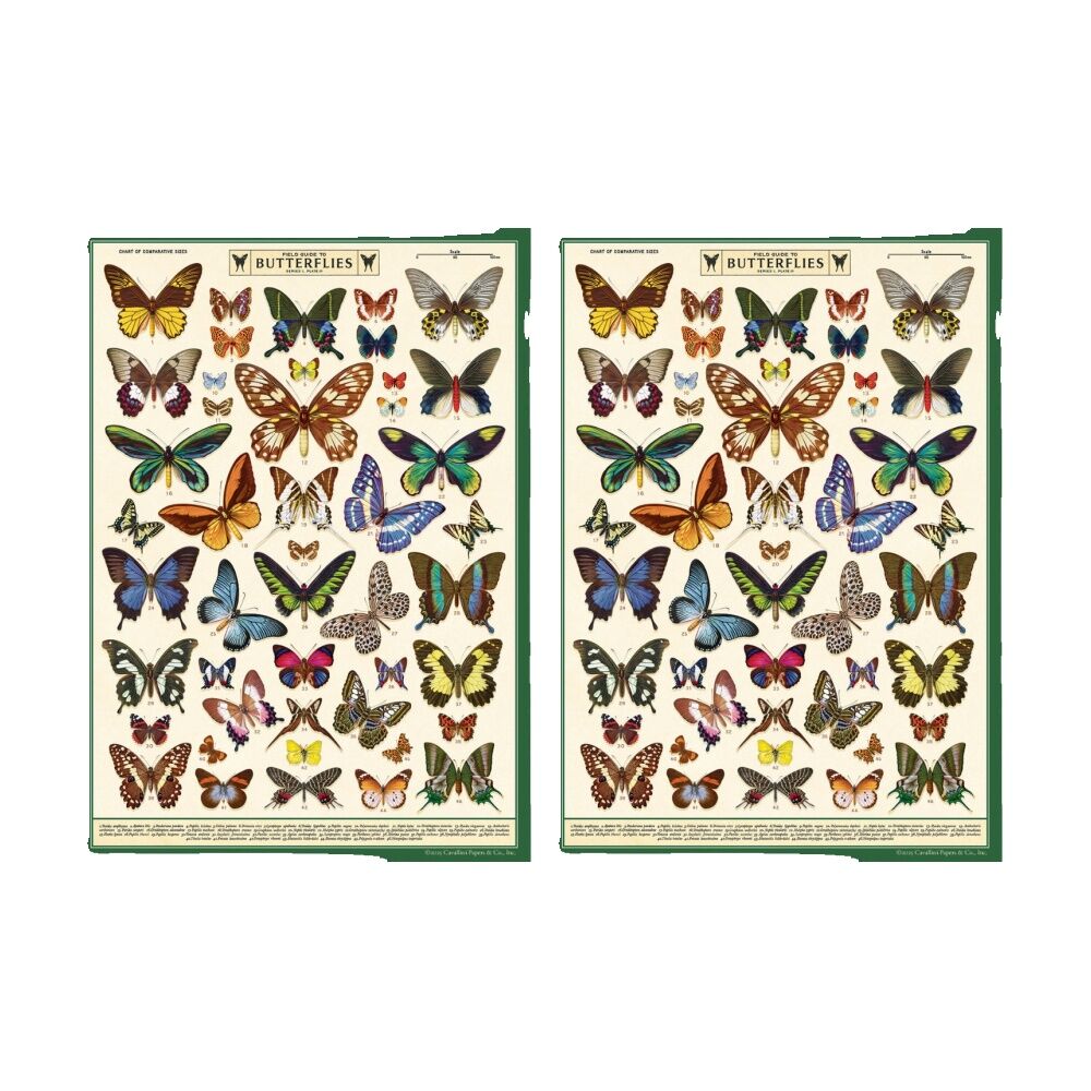 2PK Cavallini Poster Gift Wrap Paper Vintage Art Field Guide to Butterflies
