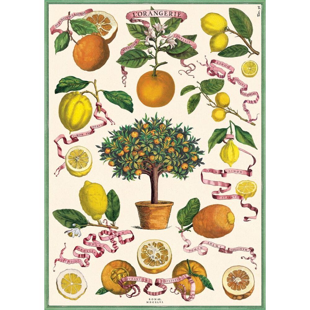 Cavallini Poster Gift Wrap L'Orangerie Vintage Botanical Design 50x70cm