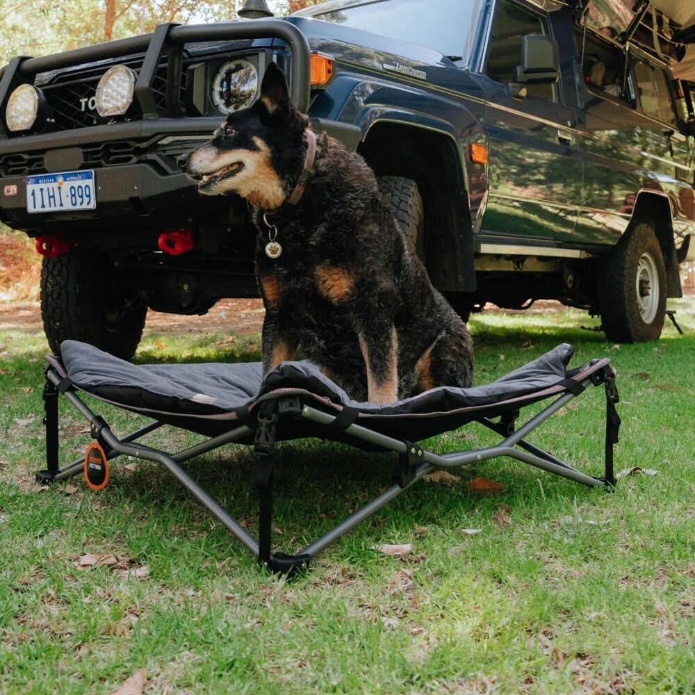 Wildtrak Deluxe Folding Pet Camp Bed XL With Removable Cover 95x95cm