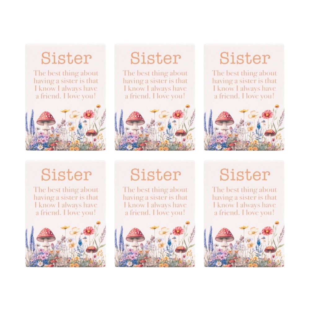 6PK Cottage Grove Sisters Ceramic Magnet Embossed Design Beige 6x8cm