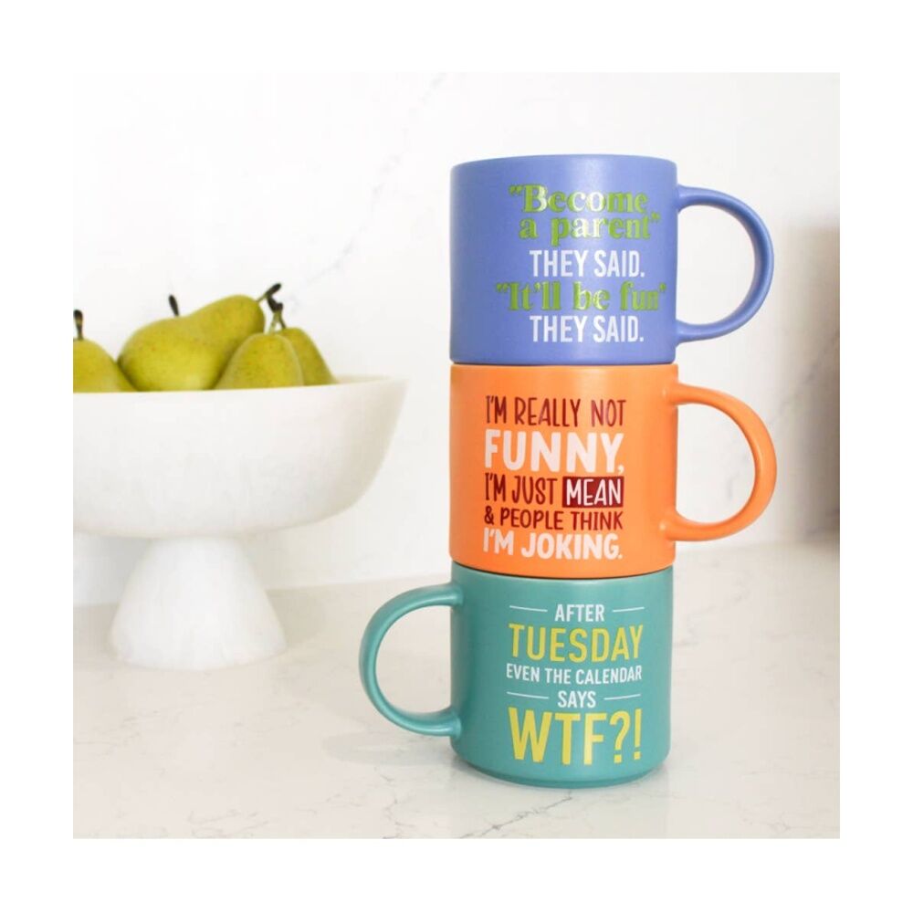 Cheeky Mugs WTF Ceramic Mug Microwave Dishwasher Safe Aqua 390ml
