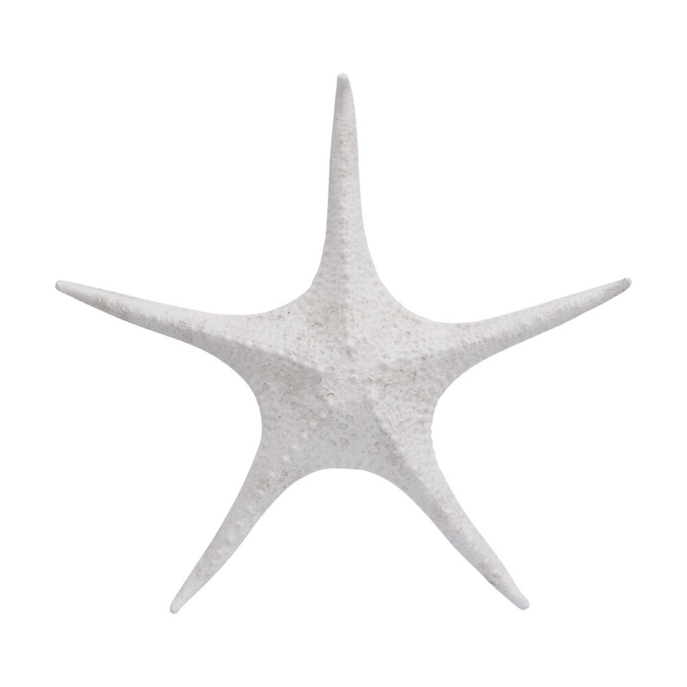 2PK LVD Starfish XL Double Sided Resin Sea Creature Statue Decor 31.5x31.5x5.5cm