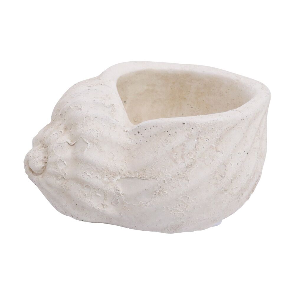4PK LVD Rustic Conch Shell Cement Planter Garden & Outdoor Decor 15x11x7.5cm