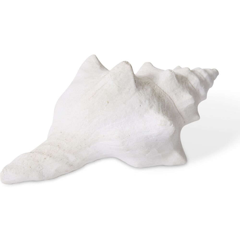 2PK E Style Shell Horse Conch Coastal White Decorative Ornament 14x9x7cm