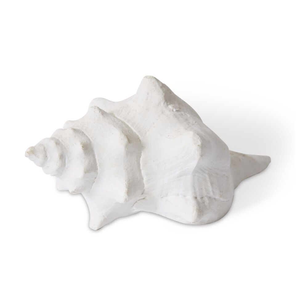 2PK E Style Shell Horse Conch Coastal White Decorative Ornament 14x9x7cm