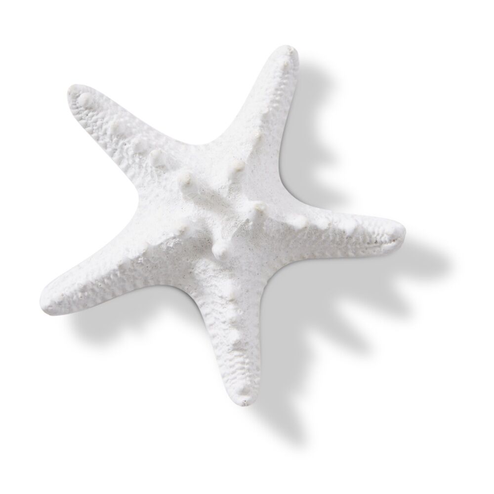 3PK E Style Starfish Knobbed Coastal White Decorative Ornament 9x9x3cm