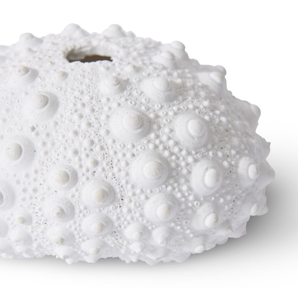 3PK E Style Shell Sea Urchin Coastal White Decorative Ornament 9x8x5cm