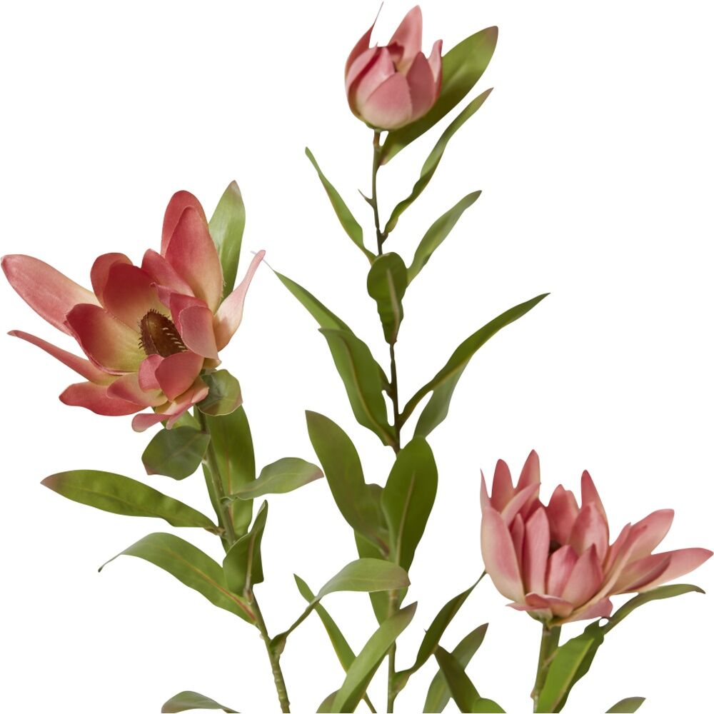 E Style Protea Orientale Spray Pink Artificial Flower Floral Stem 42x16x99cm