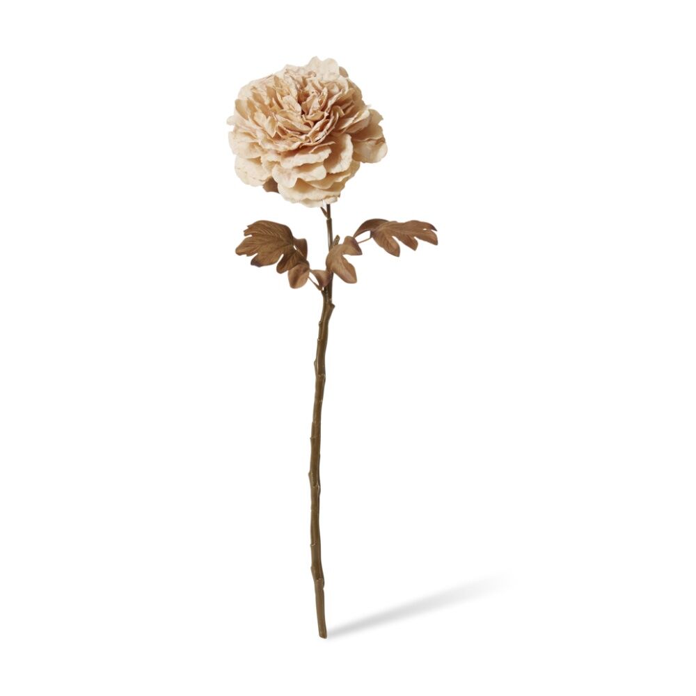 6PK E Style Peony Decor Stem Artificial Flower Antique Cream 17x17x69cm