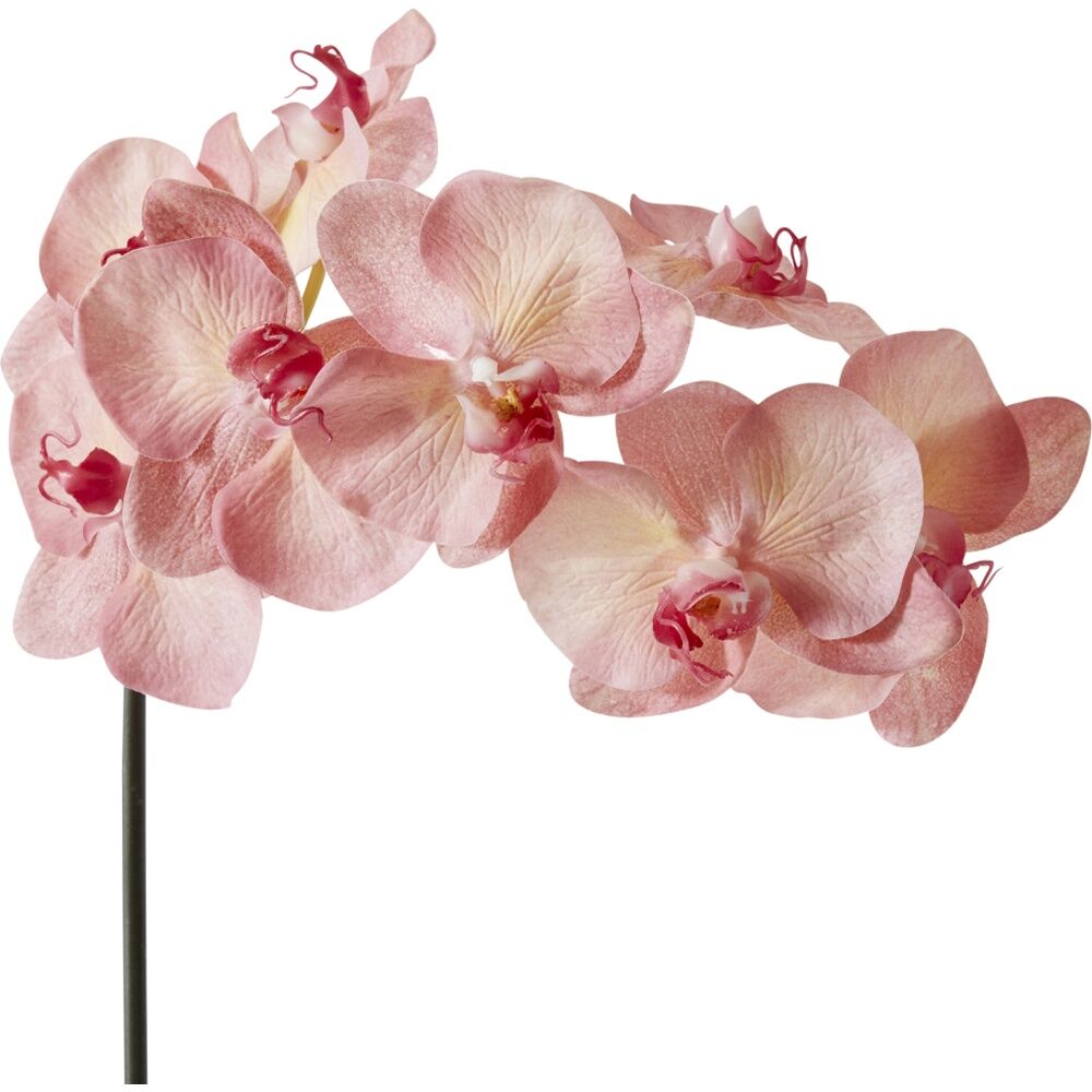 6PK E Style Phalaenopsis Orchid Stem Artificial Flower Pink 20x8x95cm