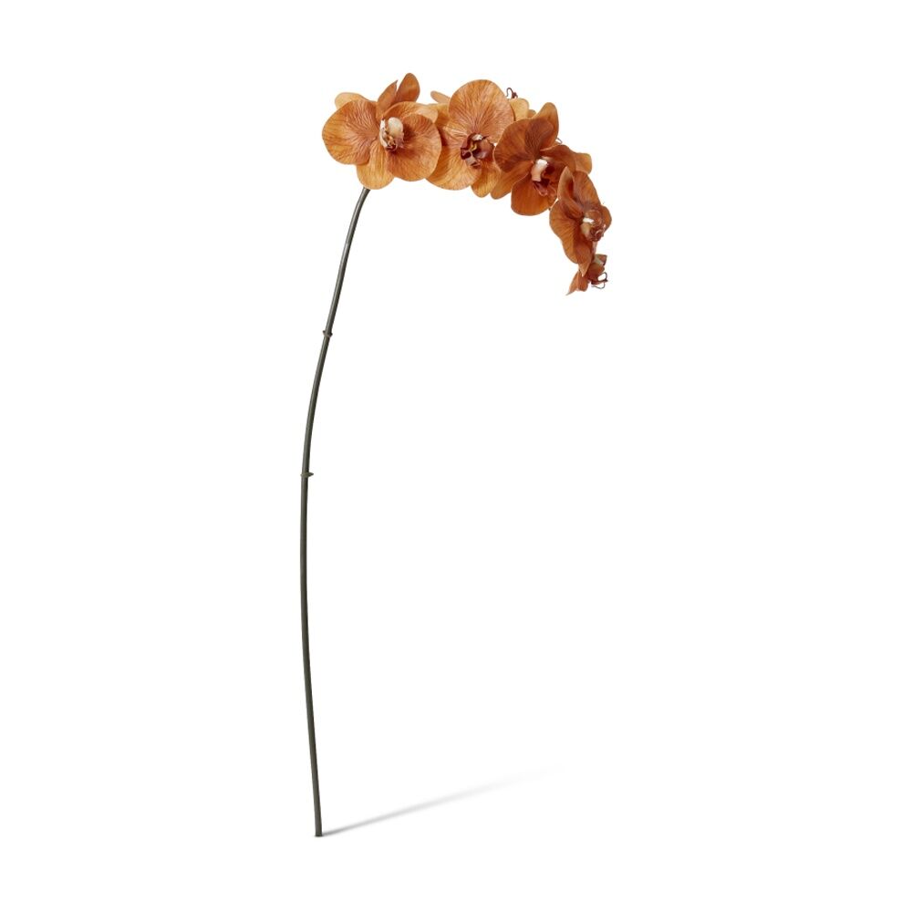 6PK E Style Phalaenopsis Orchid Stem Artificial Flower Rust 20x8x95cm