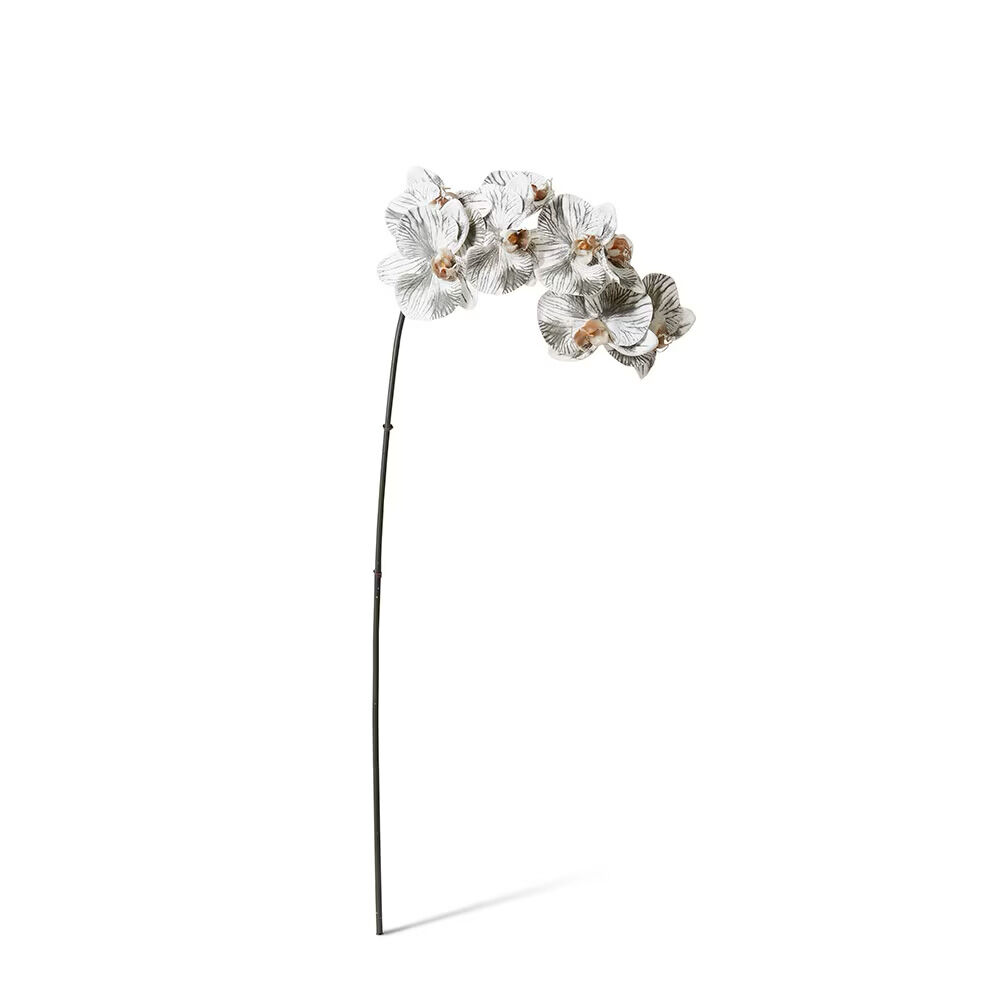 E Style Phalaenopsis Orchid Stem Artificial Flower White Black 20x8x95cm
