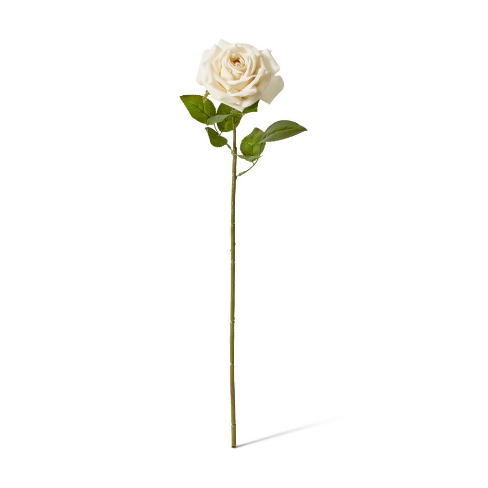 6PK E Style Rose Garden Stem Durable Artificial Flower Champagne 22x14x66cm