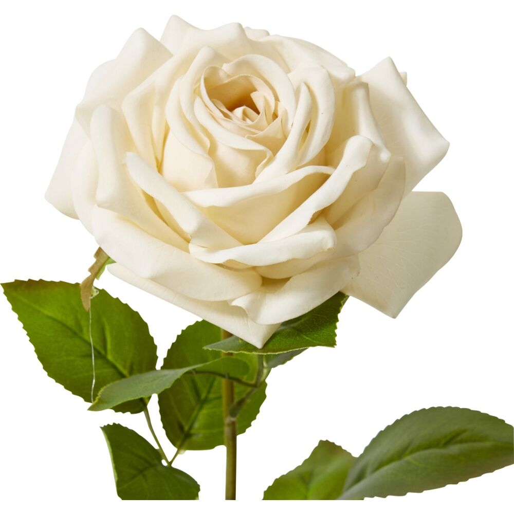 6PK E Style Rose Garden Stem Durable Artificial Flower Champagne 22x14x66cm