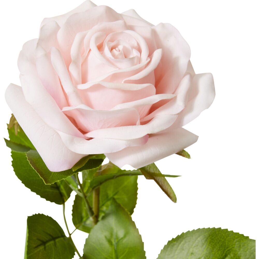 6PK E Style Rose Garden Stem Durable Artificial Flower Soft Pink 22x14x66cm