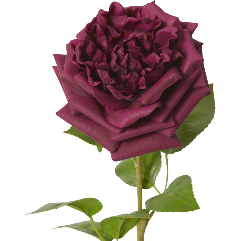3PK E Style Rose Austin Stem Elegant Artificial Flower Burgundy 22x14x66cm