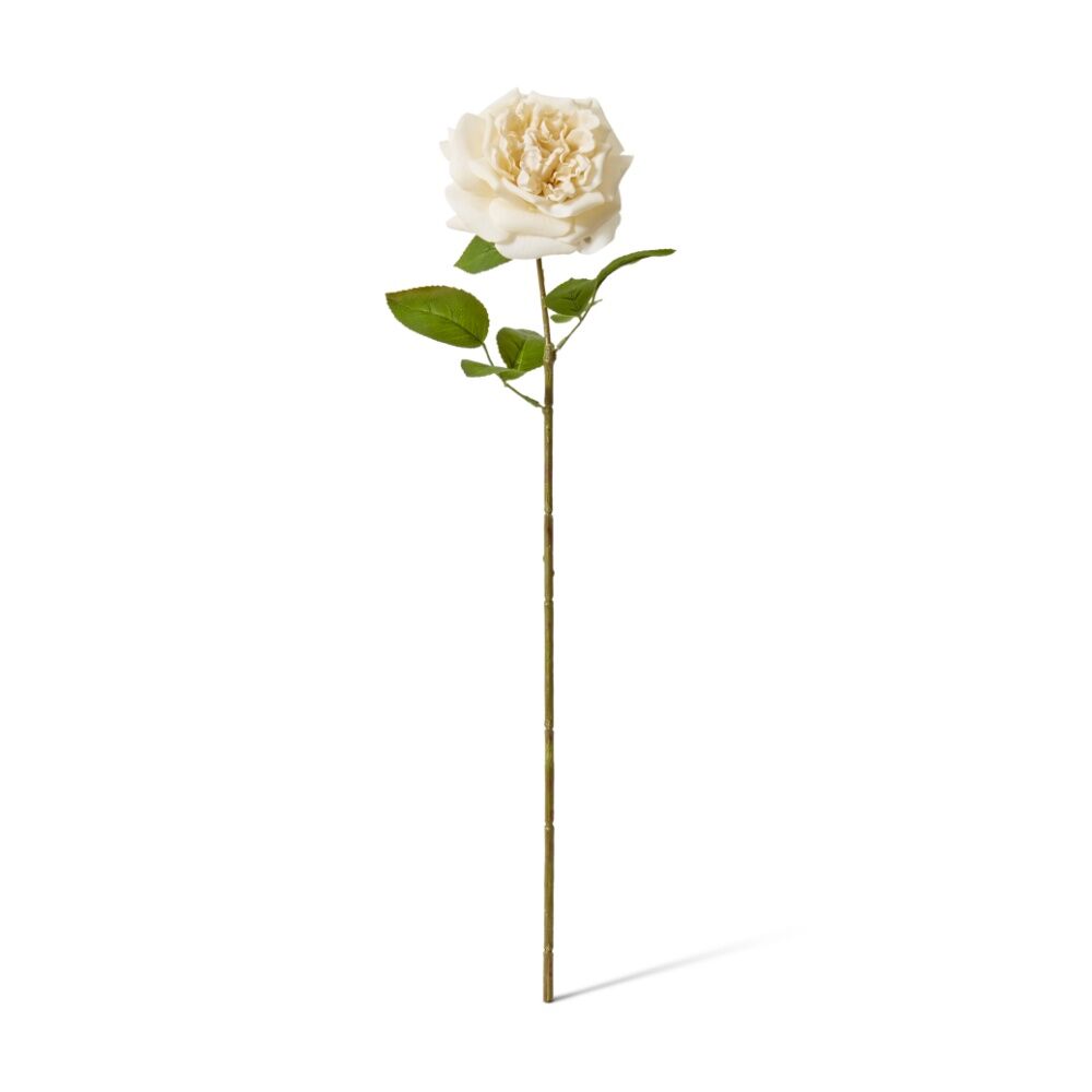 3PK E Style Rose Austin Stem Elegant Artificial Flower Champagne 22x14x66cm