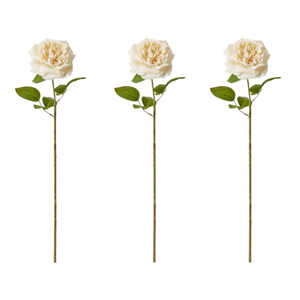 3PK E Style Rose Austin Stem Elegant Artificial Flower Champagne 22x14x66cm
