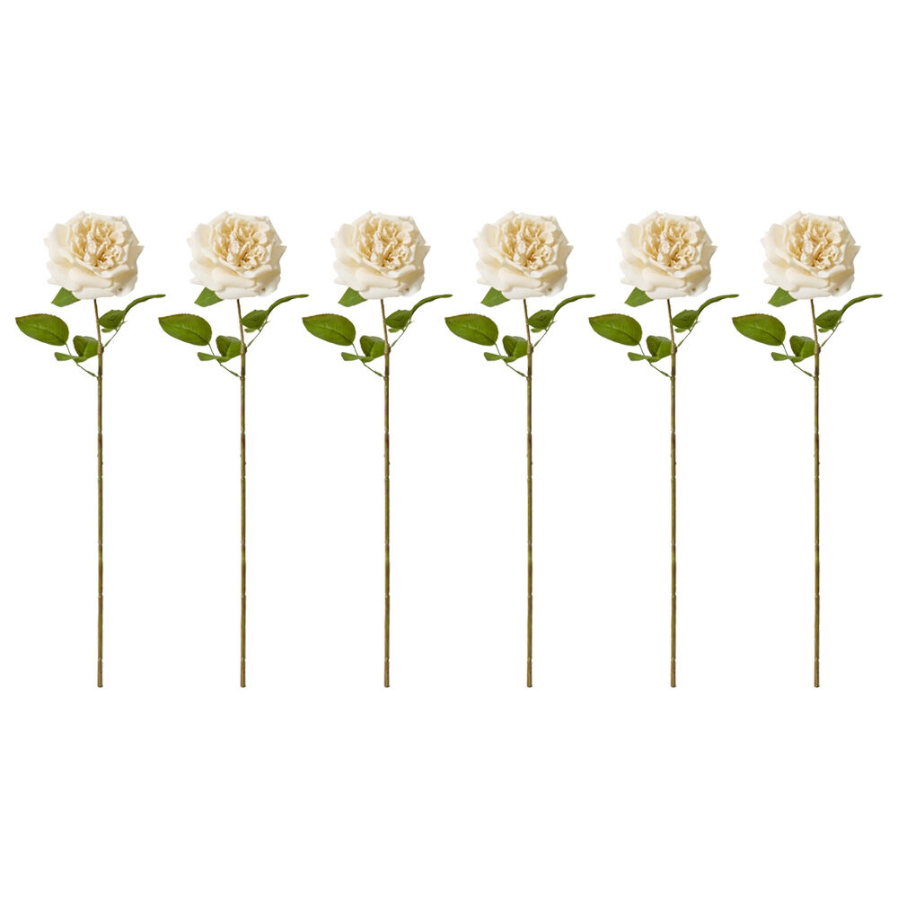 6PK E Style Rose Austin Stem Elegant Artificial Flower Champagne 22x14x66cm