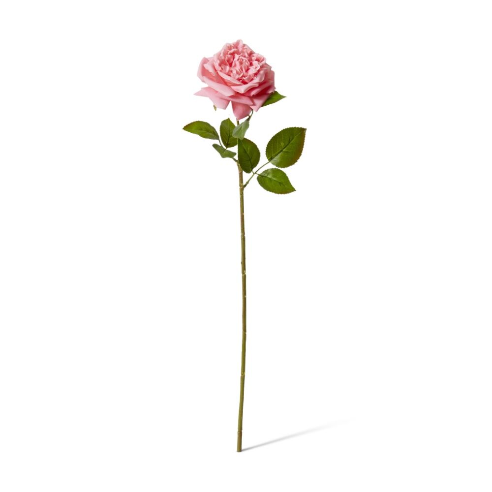 6PK E Style Rose Austin Stem Elegant Artificial Flower Dark Pink 22x14x66cm