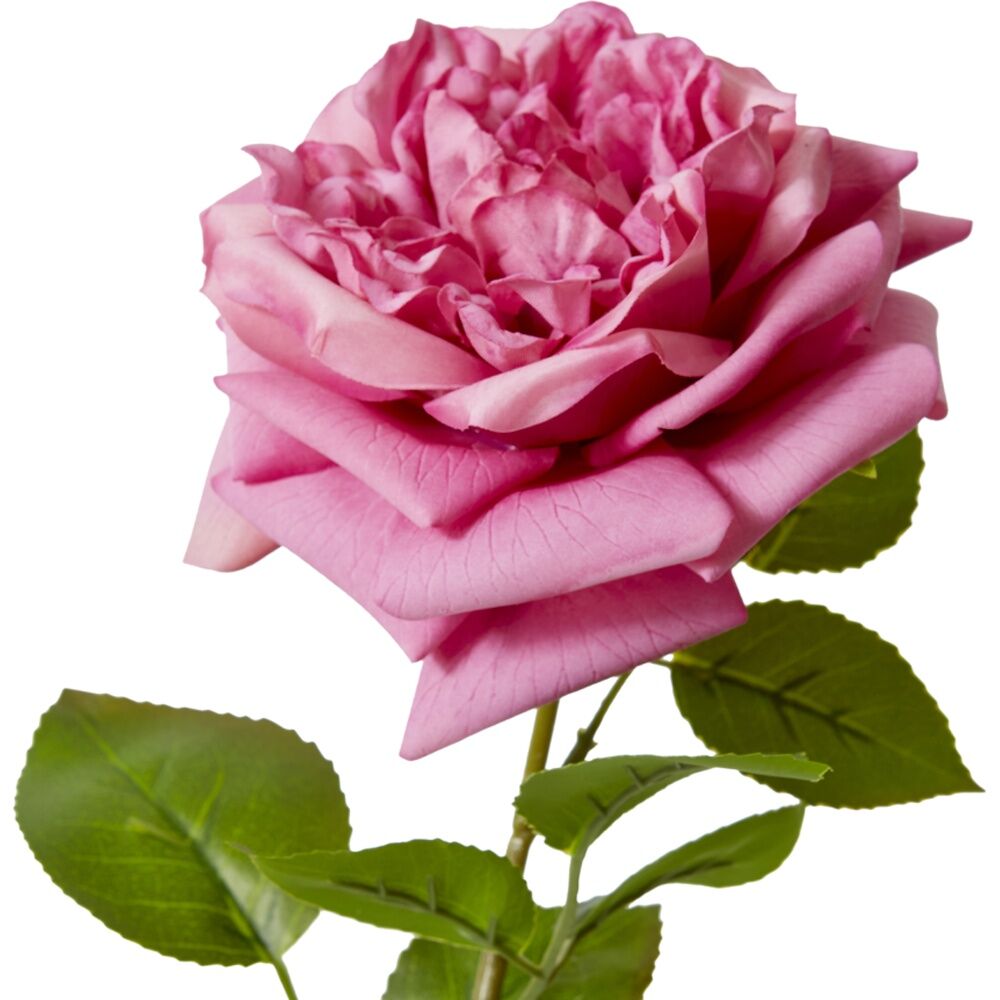 6PK E Style Rose Austin Stem Elegant Artificial Flower Mauve 22x14x66cm