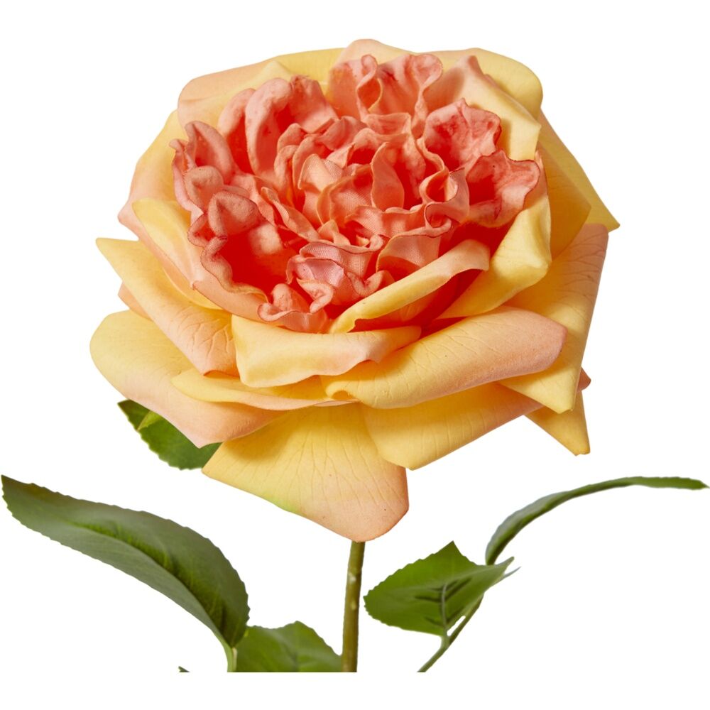 3PK E Style Rose Austin Stem Elegant Artificial Flower Orange 22x14x66cm