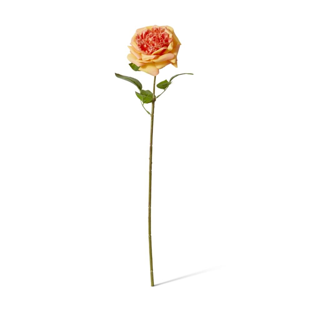 6PK E Style Rose Austin Stem Elegant Artificial Flower Orange 22x14x66cm