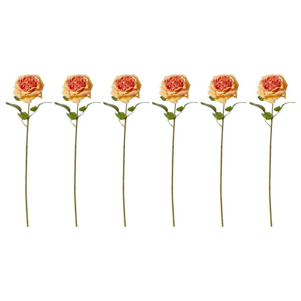 6PK E Style Rose Austin Stem Elegant Artificial Flower Orange 22x14x66cm