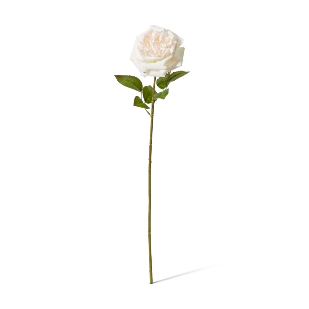 3PK E Style Rose Austin Stem Elegant Artificial Flower Pink Cream 22x14x66cm