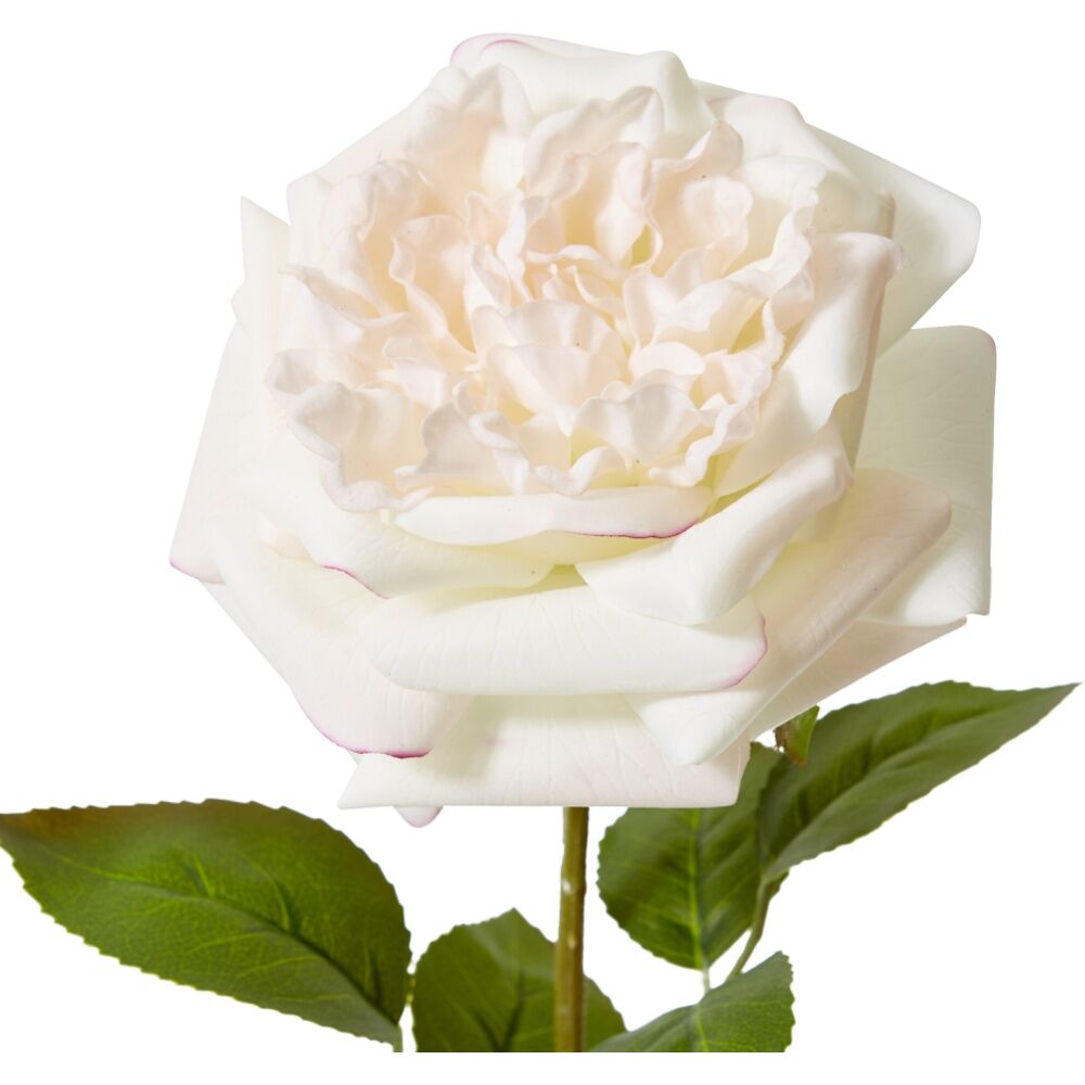 3PK E Style Rose Austin Stem Elegant Artificial Flower Pink Cream 22x14x66cm