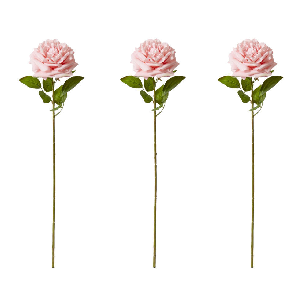 3PK E Style Rose Austin Stem Elegant Artificial Flower Pink 22x14x66cm