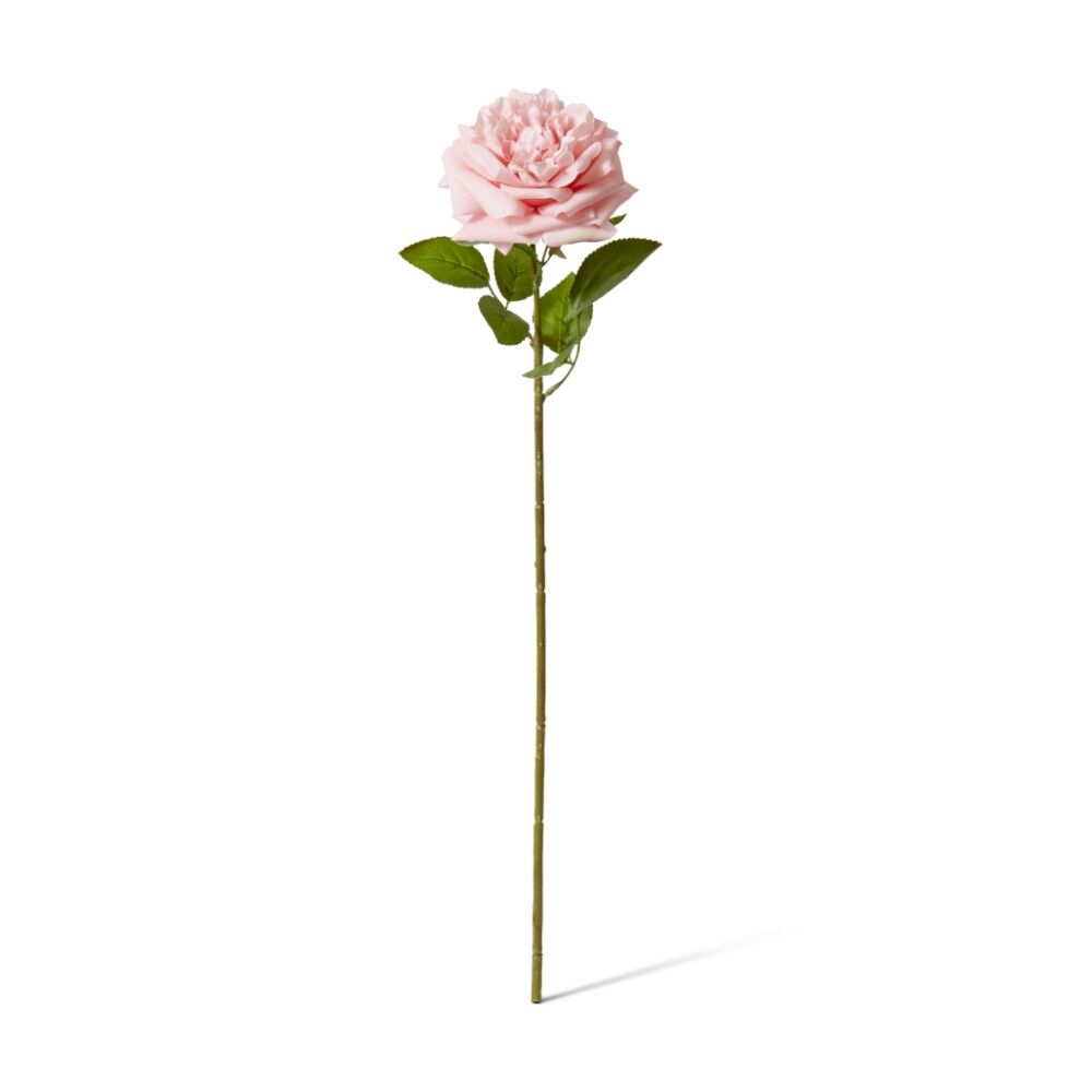 3PK E Style Rose Austin Stem Elegant Artificial Flower Pink 22x14x66cm