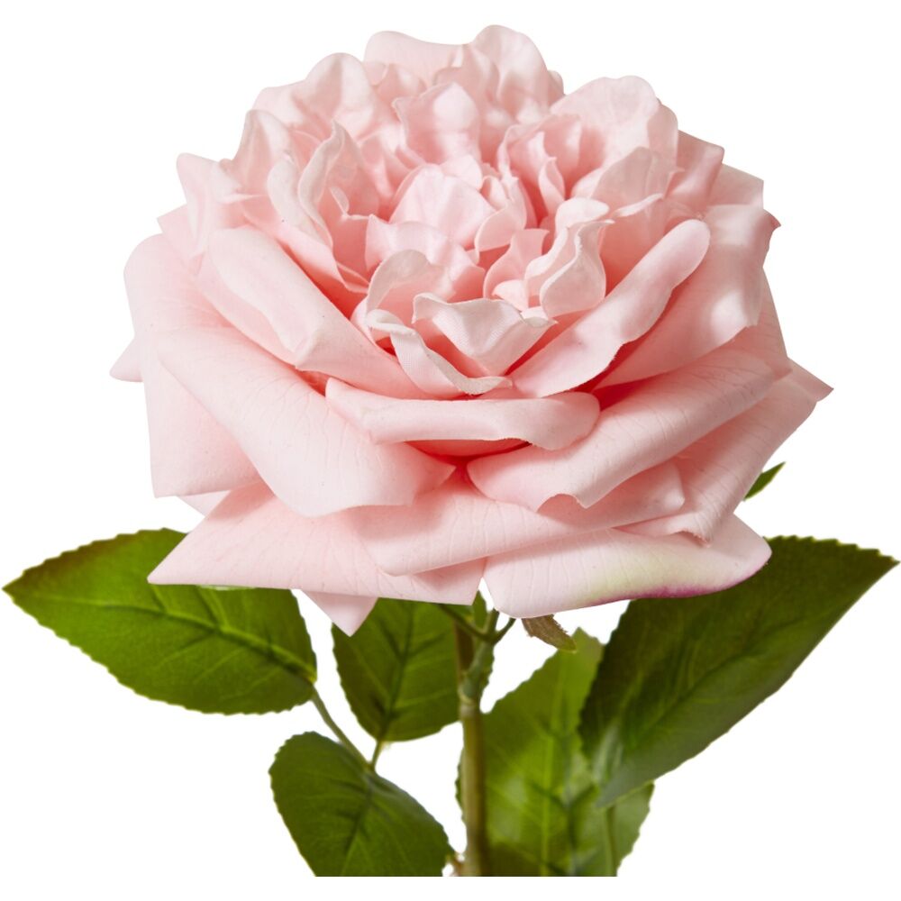 3PK E Style Rose Austin Stem Elegant Artificial Flower Pink 22x14x66cm