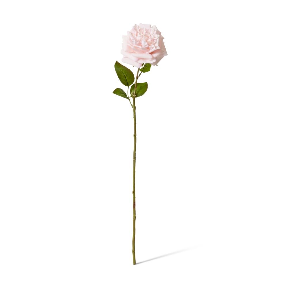 3PK E Style Rose Austin Stem Elegant Artificial Flower Soft Pink 22x14x66cm
